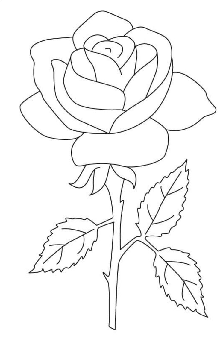 رسومات للتلوين للبنات