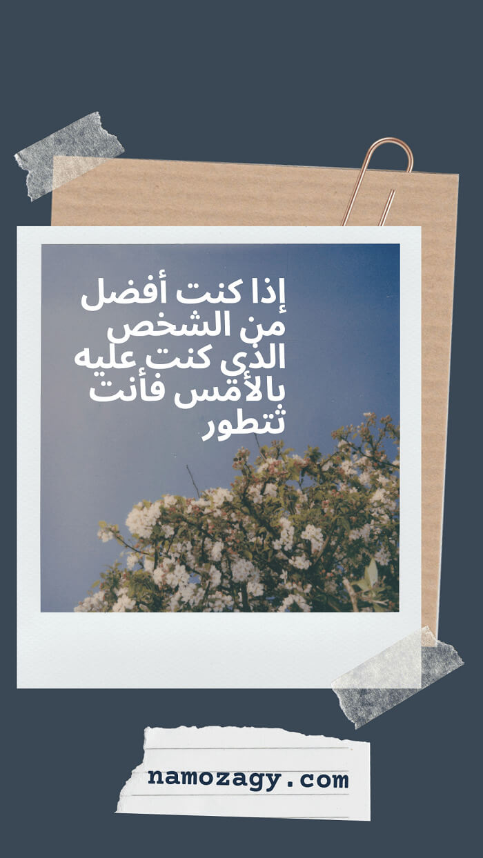 عبارات عن النجاح والتميز في العمل