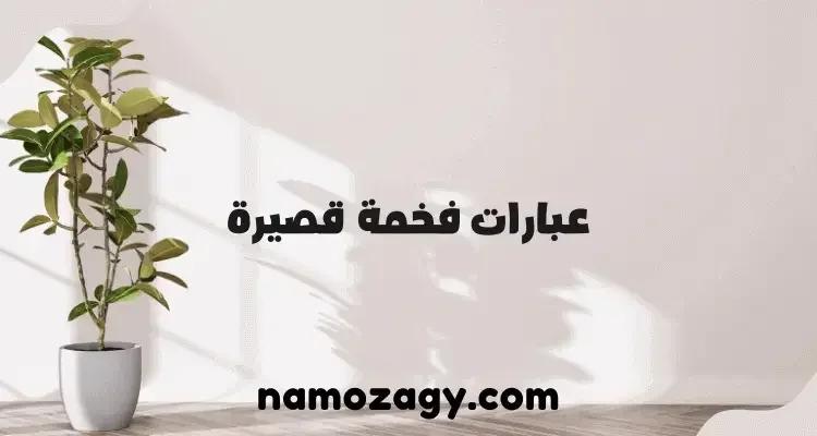 عبارات فخمة قصيرة عن نفسي وعن الحياة، كلام فخم قصير
