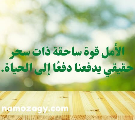 كلام جميل عن الحياة والامل