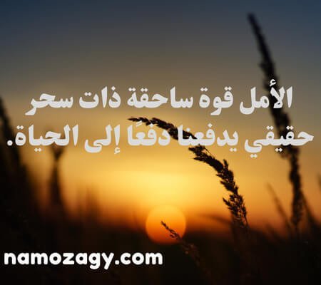 كلام جميل عن الحياة والامل