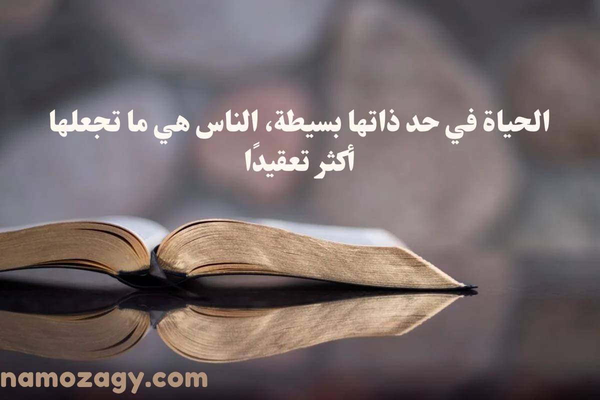 كلام جميل