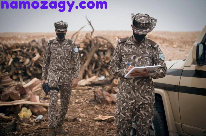 لبس الامن البيئي السعودي، سلم رواتب الامن البيئي