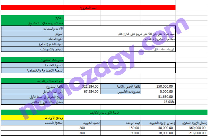 نموذج دراسة جدوى فارغة