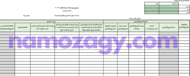 نموذج دراسة جدوى فارغة