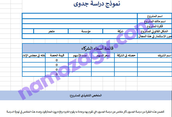نموذج دراسة جدوى فارغة