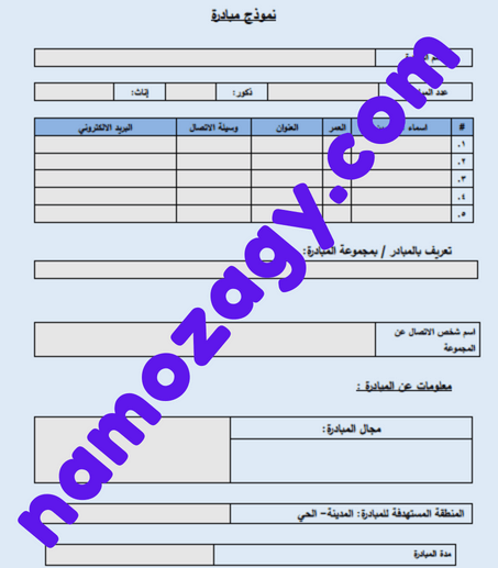 نموذج مبادرة فارغ