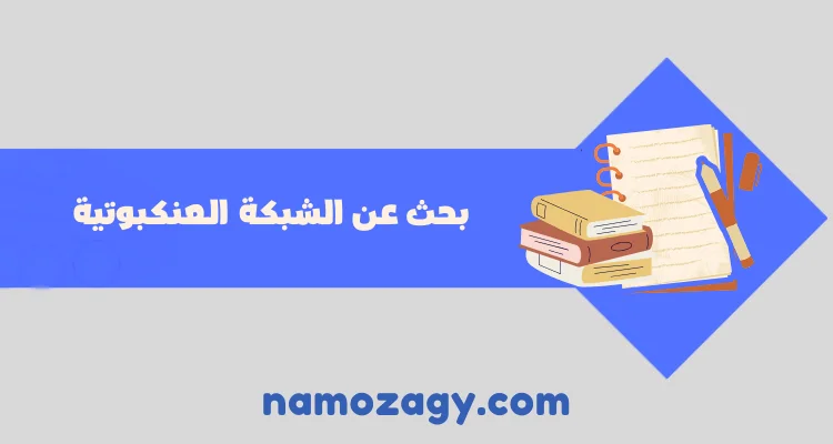 بحث عن الشبكة العنكبوتية، بحث عن الشبكه العنكبوتيه كامل pdf
