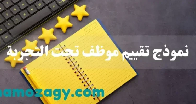 تقييم موظف تحت التجربة، نموذج تقييم موظف تحت التجربة