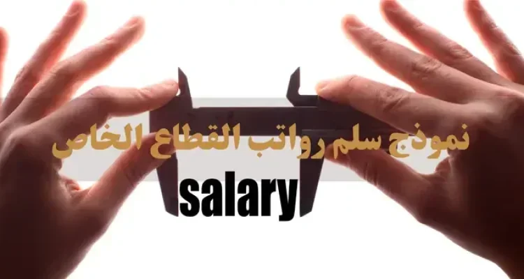 نموذج سلم رواتب القطاع الخاص