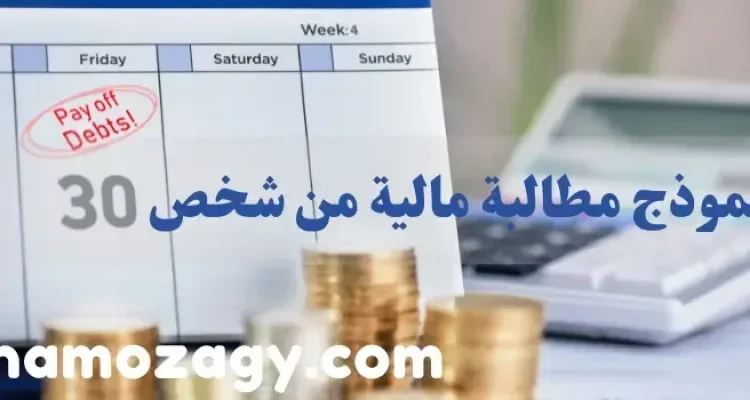 نموذج مطالبة مالية، صيغة مطالبة مالية، نموذج مطالبة مالية من شخص