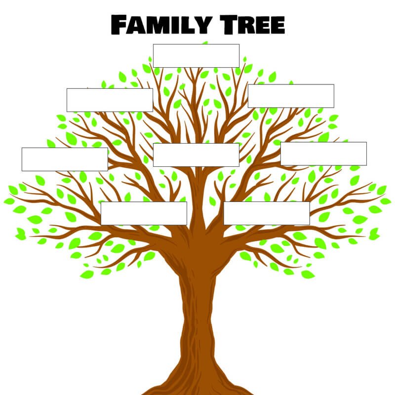 شجرة العائلة للاطفال فارغة