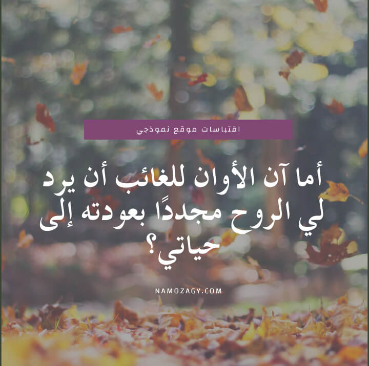 رسائل عتاب قوية ومؤثرة مع أجمل الصور - نموذجي