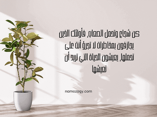 خلفيات عبارات جميله، عبارات جميله